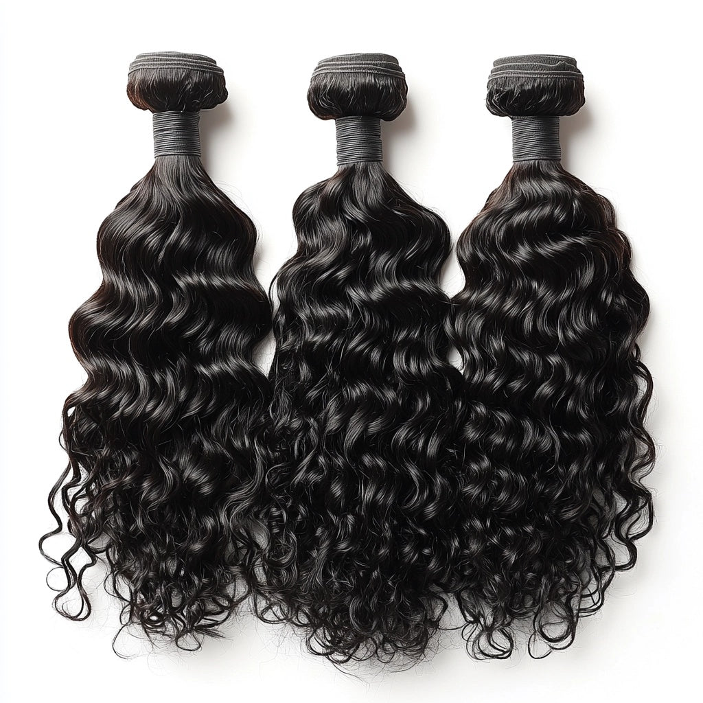 BURMESE CURLY